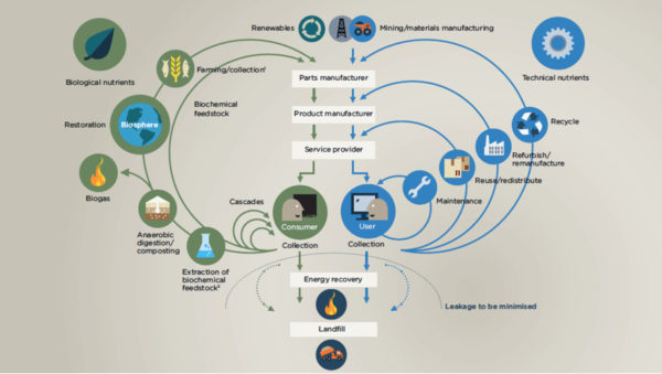 butterfly diagram, a circular framework by the Ellen MacArthur Foundation