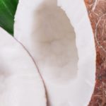 Microbial cellulose from coconut